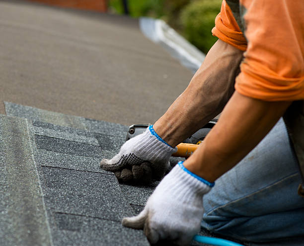 Best Roof Repair Services  in Janesville, MN
